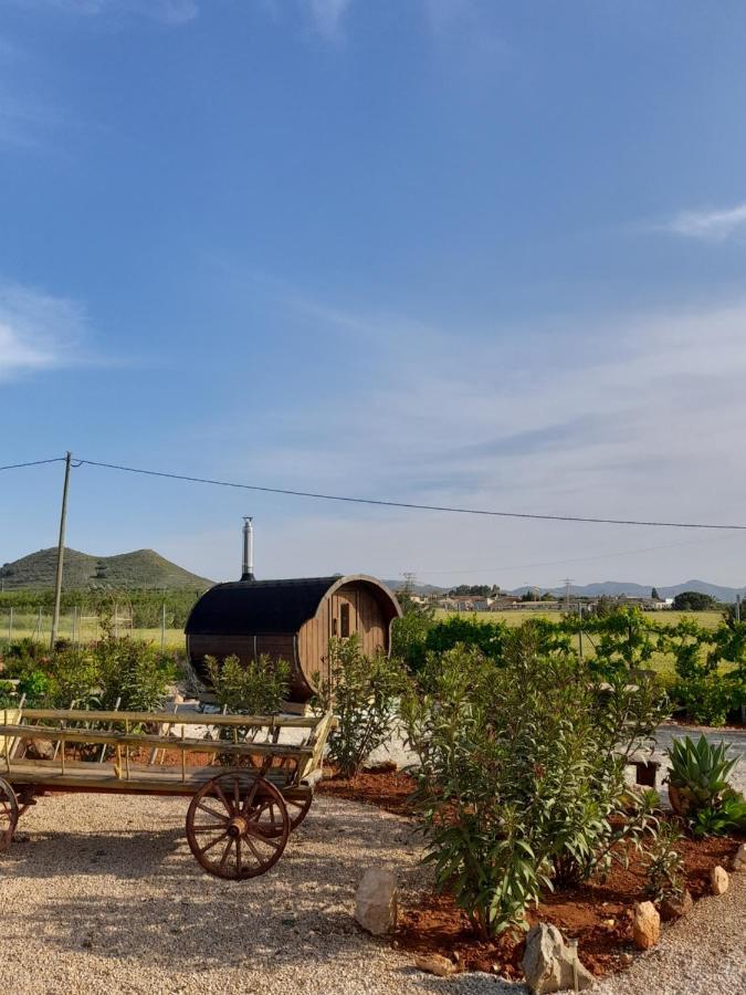 B&B Finca La Manchica 卡塔赫纳 外观 照片