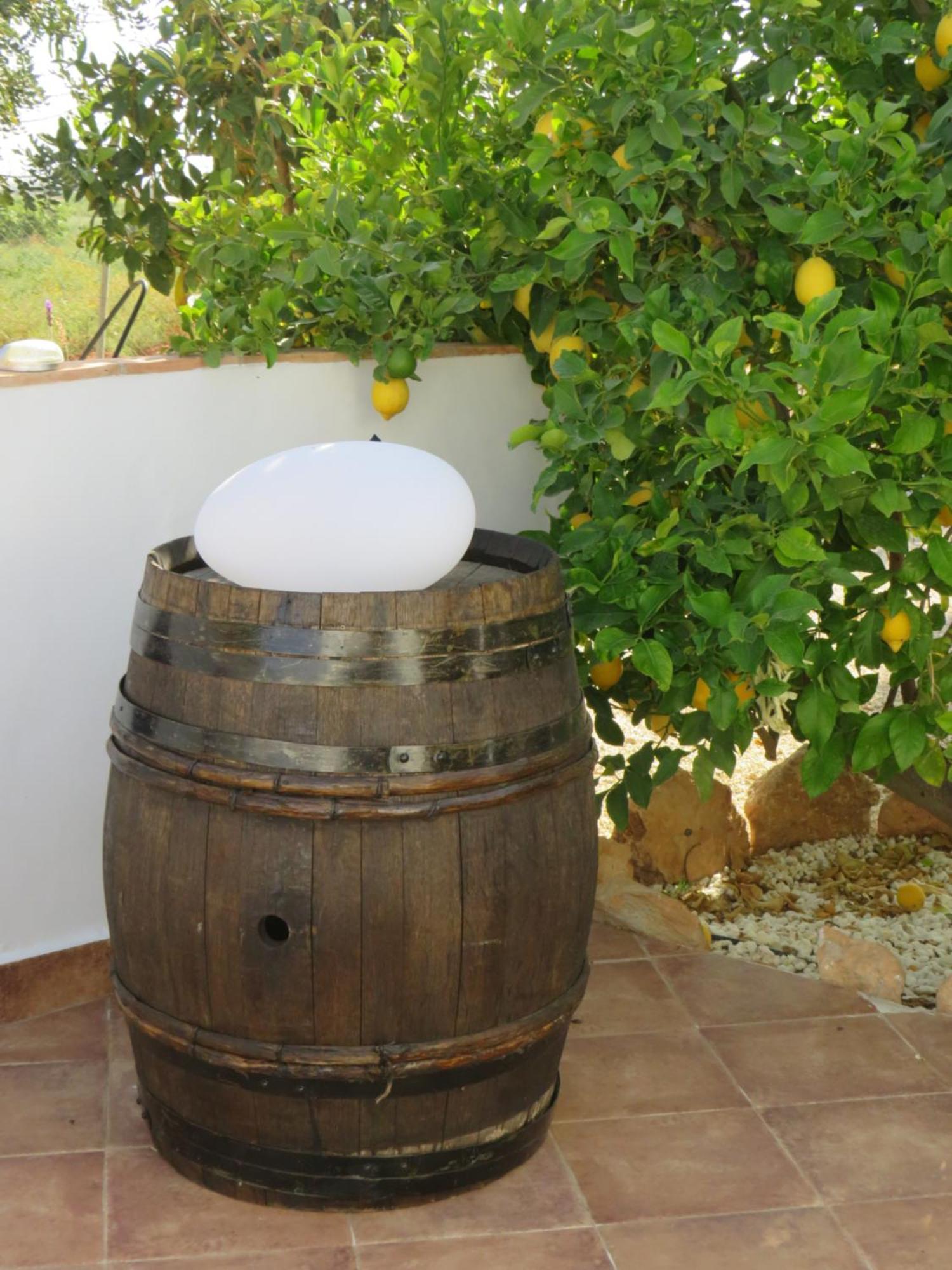 B&B Finca La Manchica 卡塔赫纳 外观 照片